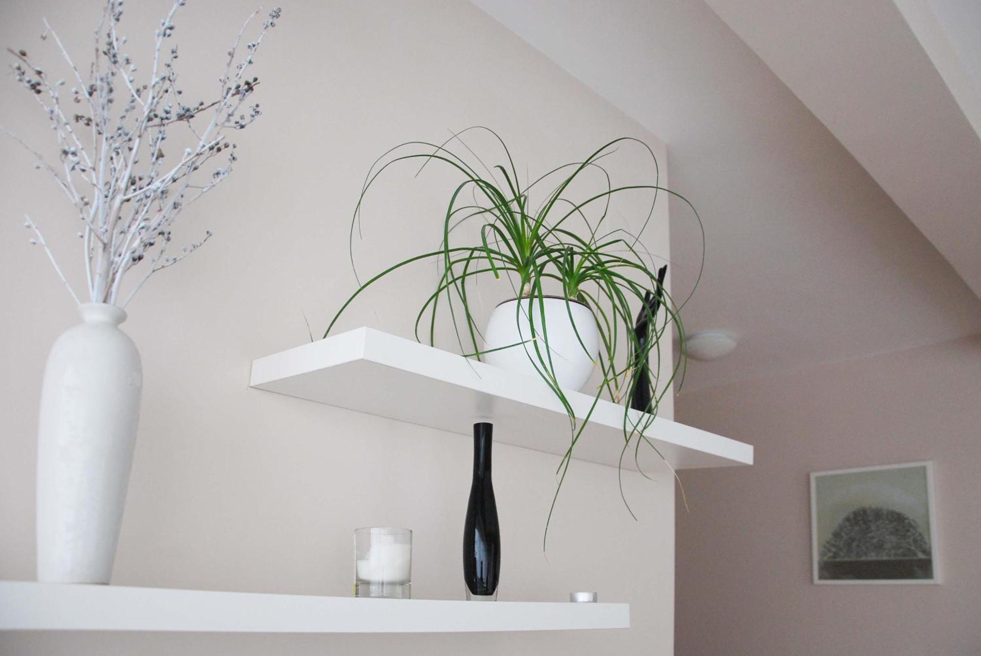 Apartments Iva Тиват Екстер'єр фото