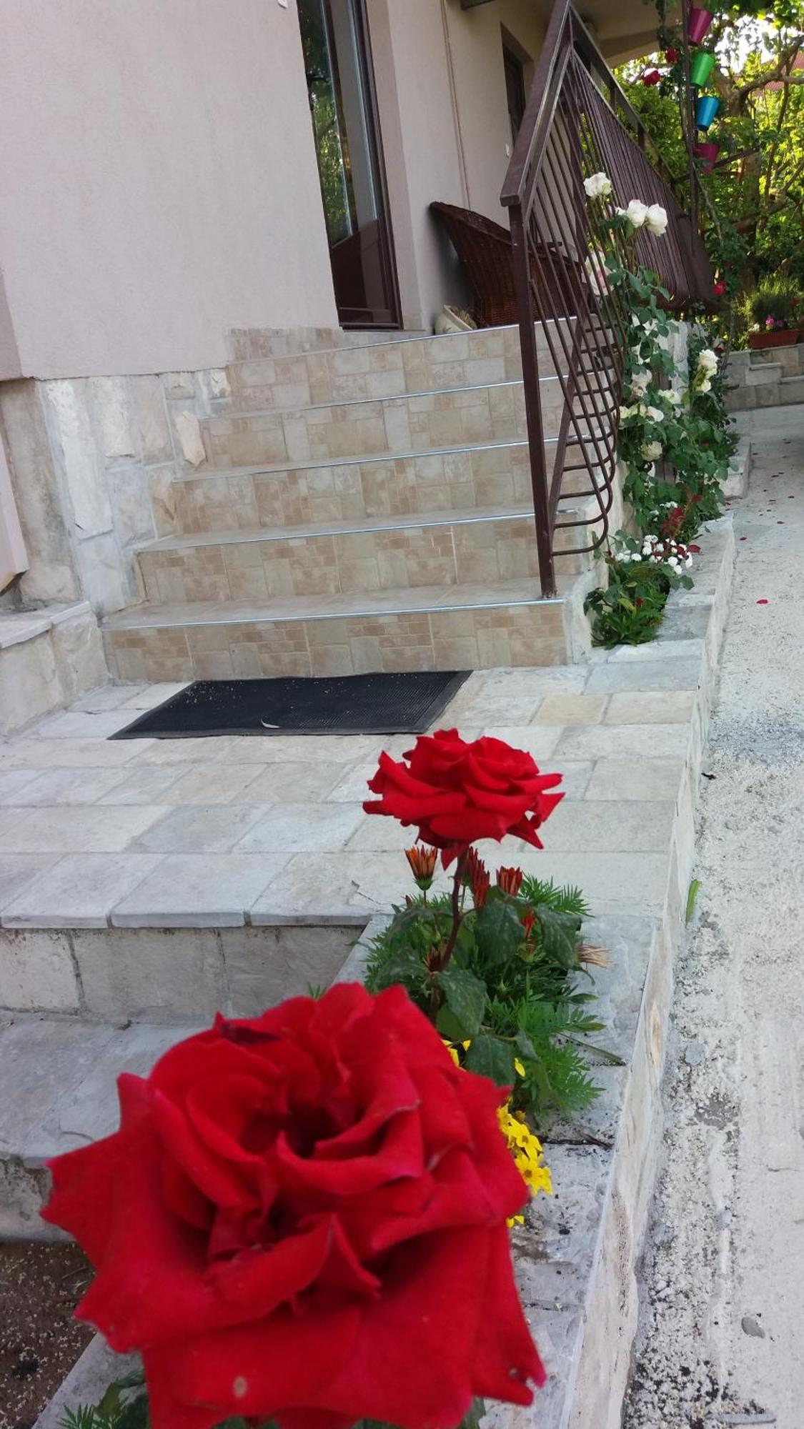 Apartments Iva Тиват Екстер'єр фото